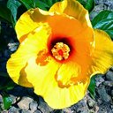 Robert Rietveld - @rietveld959 - Twitter