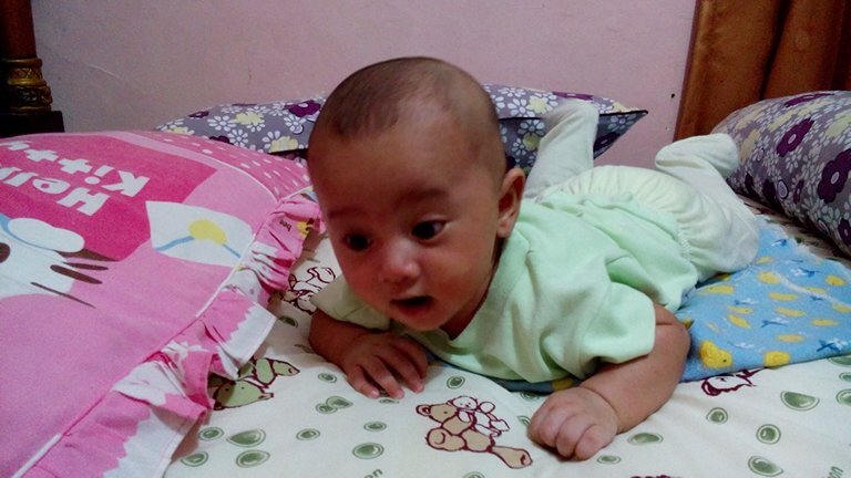 elafariz's profile picture. 