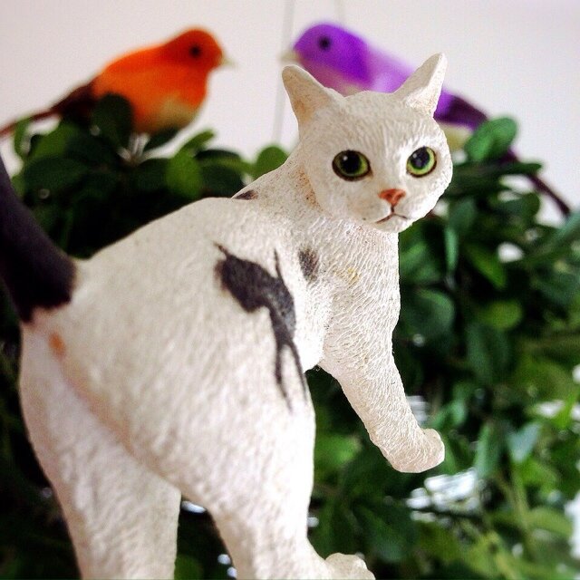 hani426's profile picture. 福岡。音楽とお笑いとハロプロと植物と。