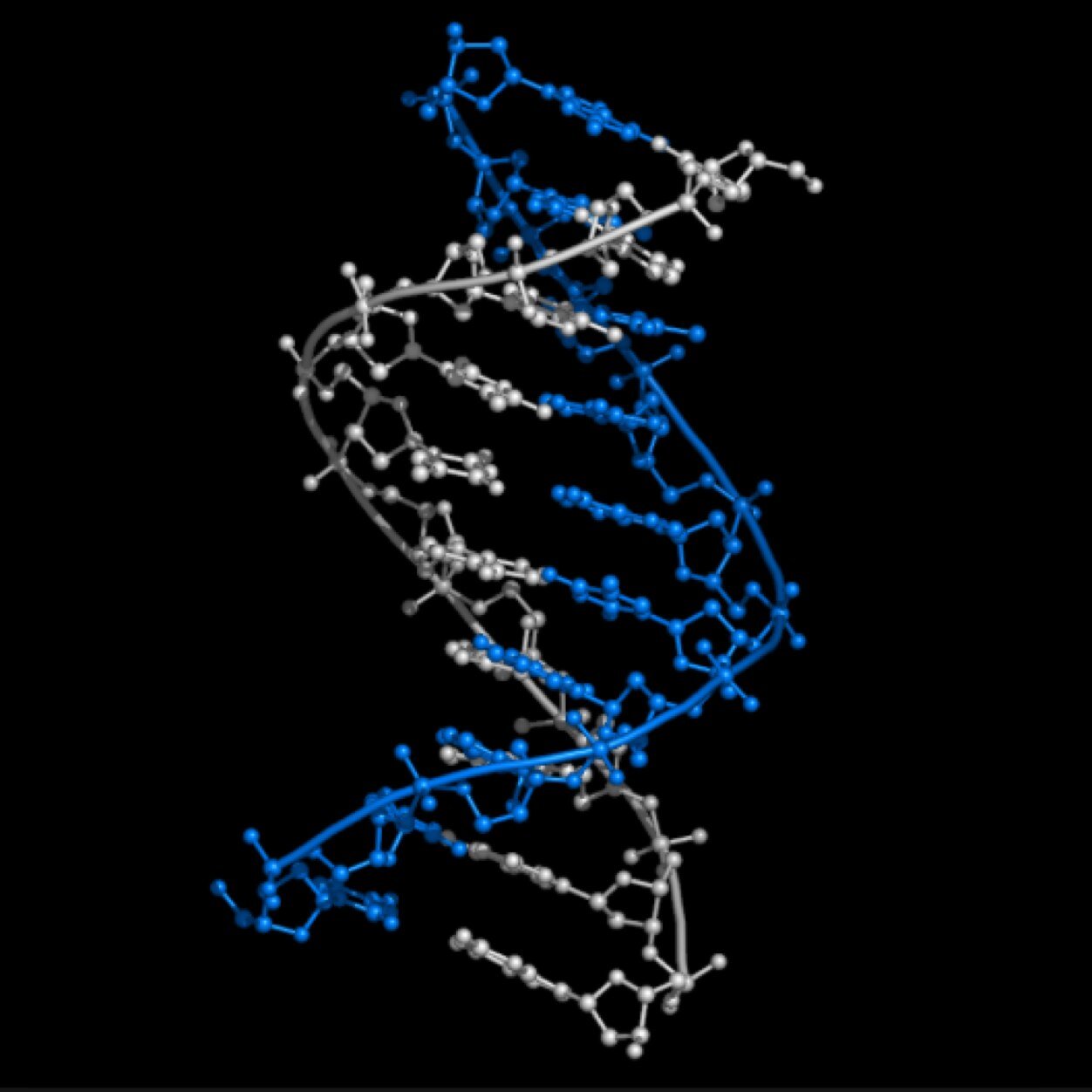 hey so i kind of store genetic information and stuff, im pretty much made of a,s,c,n, and p!