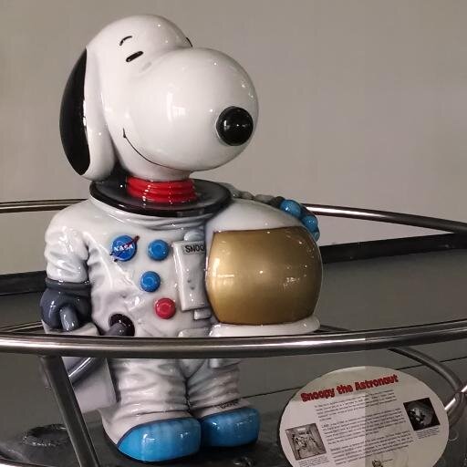 oemueller's profile picture. 