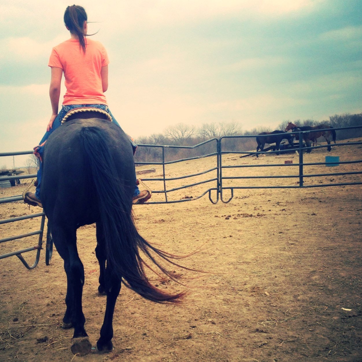 countrygirl5959's profile picture. Living the best kind of life ✌my bff in the whole world is @blondie101_