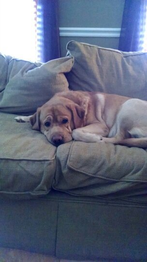 jenhusson26's profile picture. 