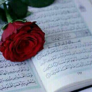 ‏​القَدر حِكمهہ لَن يستوعِبهآ الكُل ، لِذآ ، آغمِض عَينيك وَقل ، ربّي آختَر لي ما تراَه خيراً لِي '♡