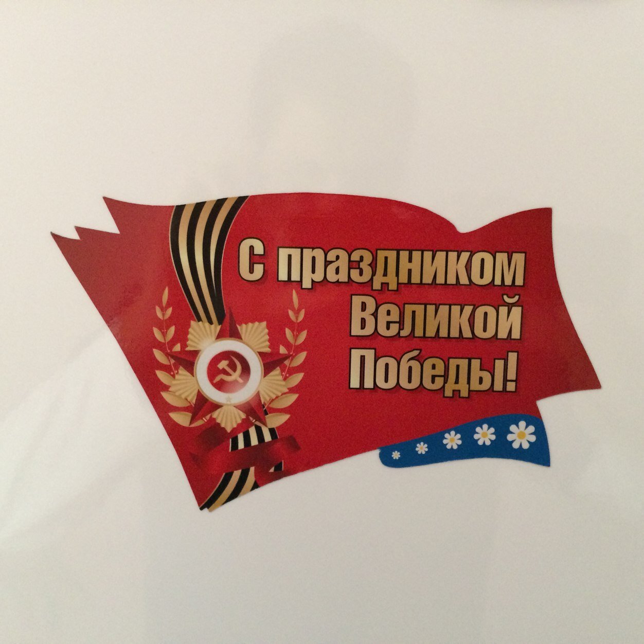 8248797's profile picture. 