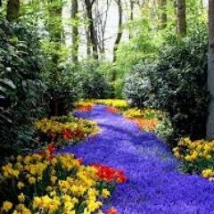 ToriKaufmann's profile picture. Food geek  ... experienced . choose - Professional bacon ninja  #  Subtly charming tv junkie  #  Student ,