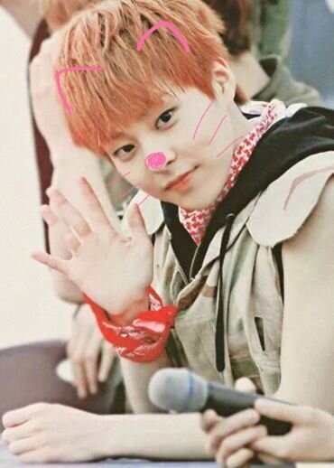 exo-m kim minseok