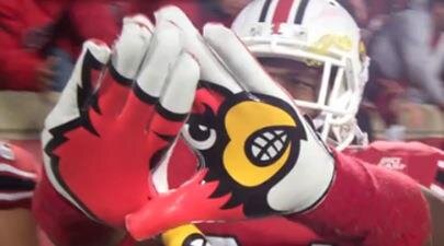 TeddyBsGlove's profile picture. 