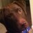KyleLeGrand's profile image