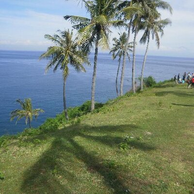 wigielv's profile image