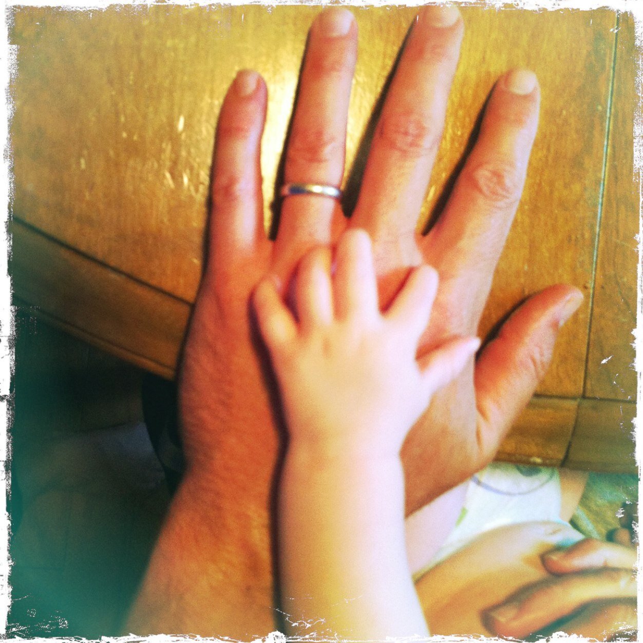 bb10s's profile picture. 