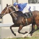 roy mccabe - @roymccabe3 - Twitter