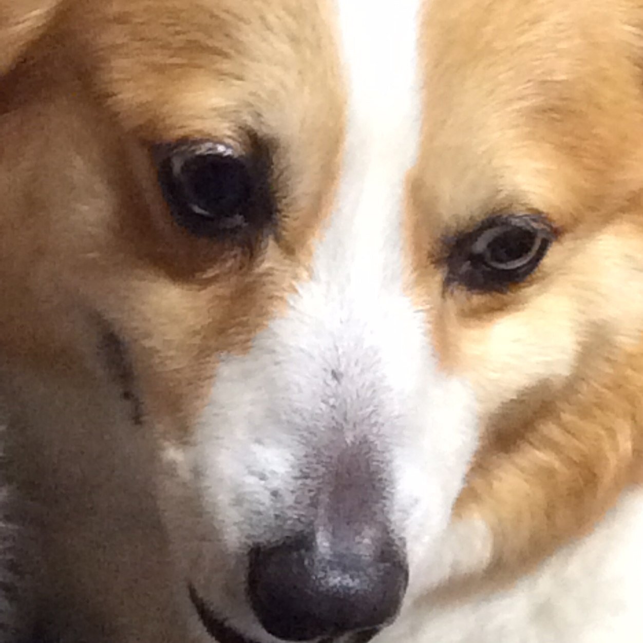 gooskafrica's profile picture. 原発立地県新潟の田舎に住んでいます。福島の問題は他人事ではありません。この緑豊かな場所がずっと残りますように。アフリカ渡航歴15年。まだまだ行きます！