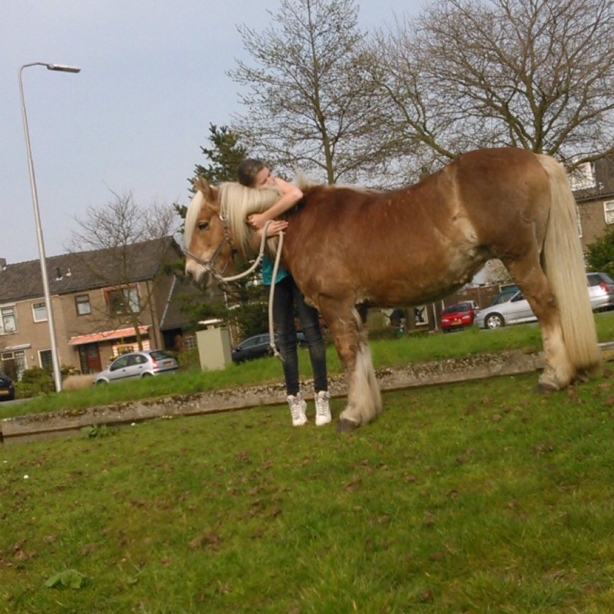 Daffy_Xxxx's profile picture. Gijs ❤️ 5 januari 2016 forever