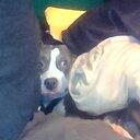 Lisa Harryman - @KabrinaStar - Twitter