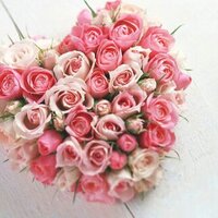 ひろりん🍀*゜ (@rose8hirorin8) 's Twitter Profile