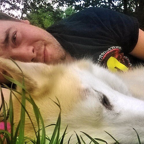 nvogster's profile picture. 