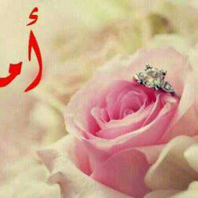 صديقة القران الكريم Nofnno Twitter