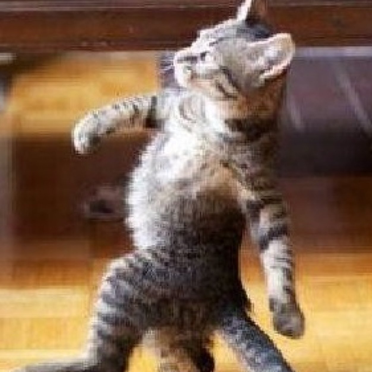 taism18ethan's profile picture. 