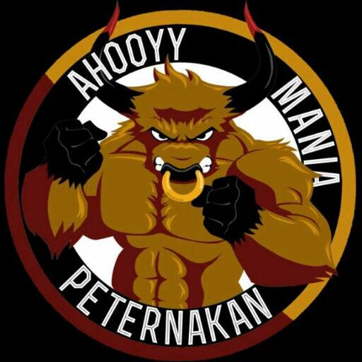 AHOOYY MANIA