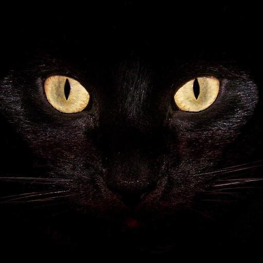 CatholicUprise's profile picture. CatholicUprising, a clan striving to bring you the best content, check our channel below!