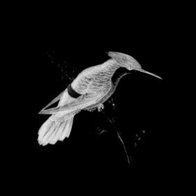 Progressive/Epic Art Rock. Check out some tunes at http://t.co/wvjbqjNd3P. Follow the band too: @carolinespence @adambasterfield @funkymeter @Astarnault