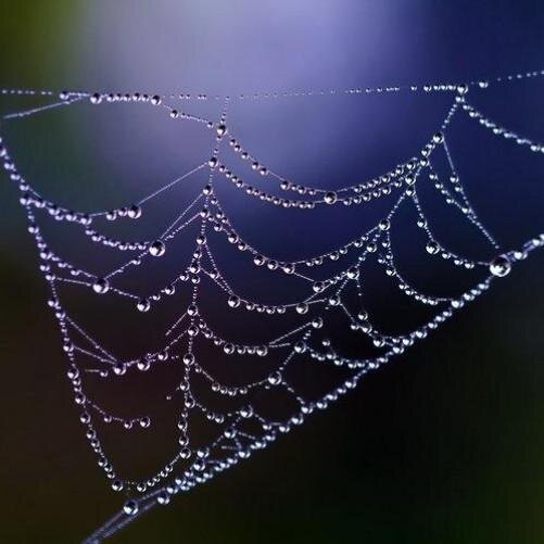 YoSoy132Texcoco's profile picture. Célula del Movimiento #YoSoy132 en Texcoco, Estado de México. Brigadeo, difusión, responsabilidad social, política ambiental. 
 Expandiendo nuestra Consciencia