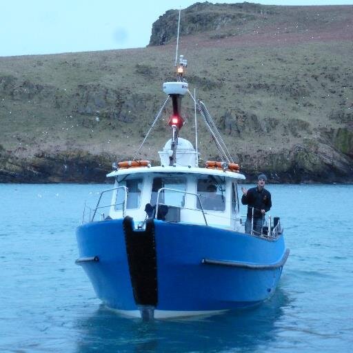 Daily updates for day trips (doesn't apply to overnight guests). Cruises 1030 & 1145. See @skomer_island for wildlife & island news.
