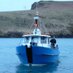 Skomer Boat Info. (@skomer_boatinfo) Twitter profile photo