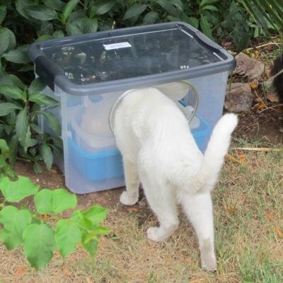Stray and feral cats in the United States need human help. Carter Pets developed the Outdoor Pet Feeder!