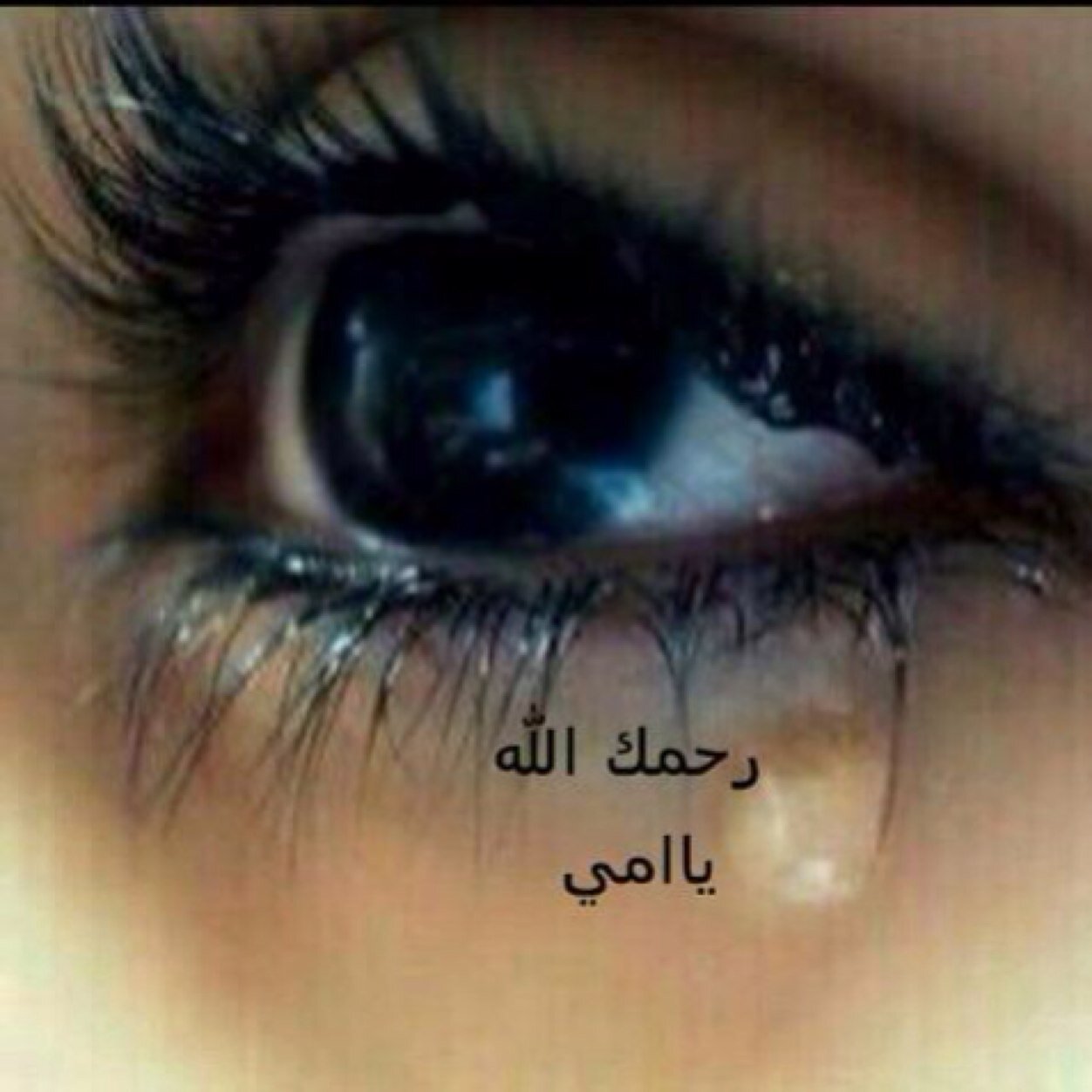 استغفرالله العظيم و اتوب اليه