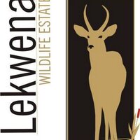 Lekwena Wildlife(@LekwenaWildlife) 's Twitter Profile Photo
