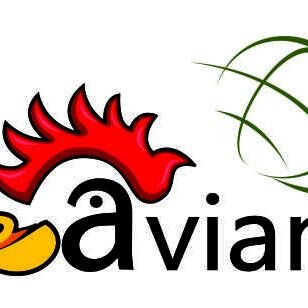 Aviana Uganda 28-29 OCT 2022
