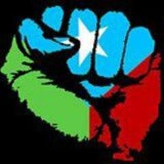 HabibBugtiBalo1's profile picture. 