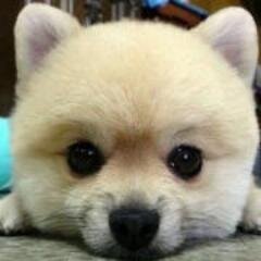 ksf27002955's profile picture. 