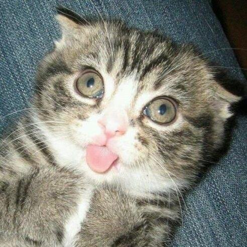 marieannejavier's profile picture. 