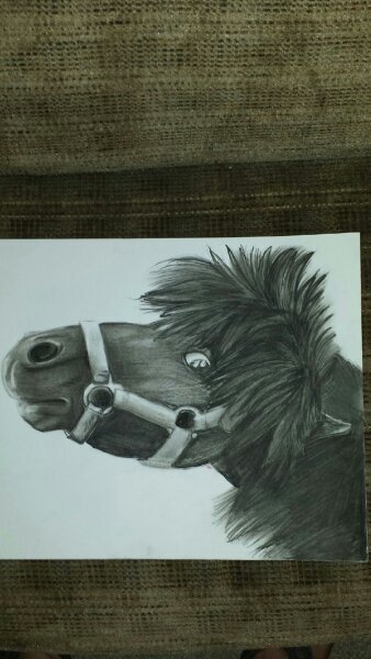 kayakeryall's profile picture. The girl that has a heart. The girl that loves God, and others. The stubborn girl who will fight for rights. The girl that loves animals