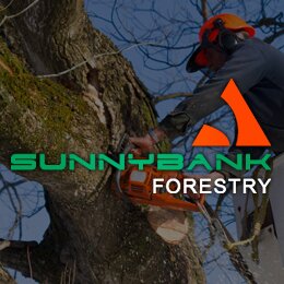 SunnybankForest's profile picture. Tree care specialist and Manchester based tree surgeons serving Greater Manchester, Cheshire and Lancashire.