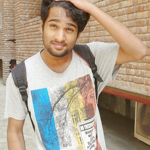 Software engineer, activist, aviator, animal lover, adrenalin junkie, adventurer, fitness enthusiast, biker, entrepreneur, student, amateur cricketer.