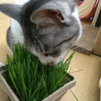 吉野 千春 (@forgdt_25) Twitter profile photo