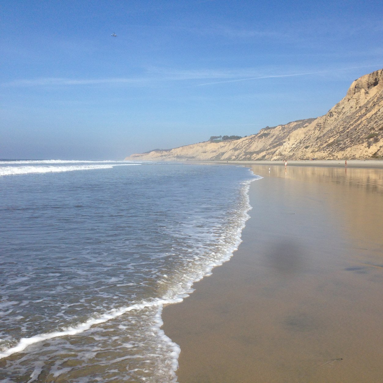 wcoeqpk's profile picture. I'll do this later...?