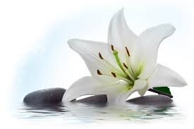 Carrington Beauty + Holistics Mobile Therapies to your home or business
Nottm
