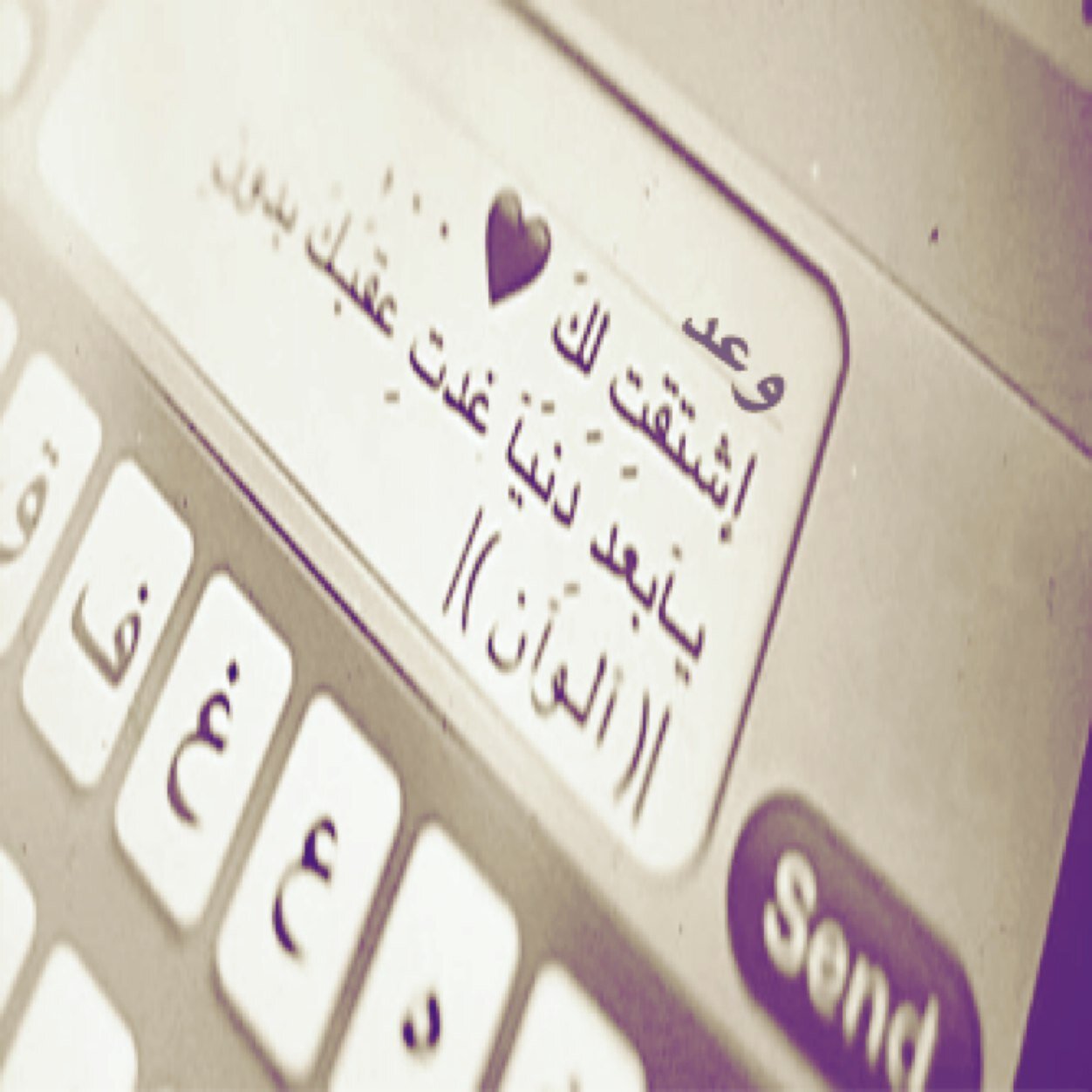 fkdgdk's profile picture. 