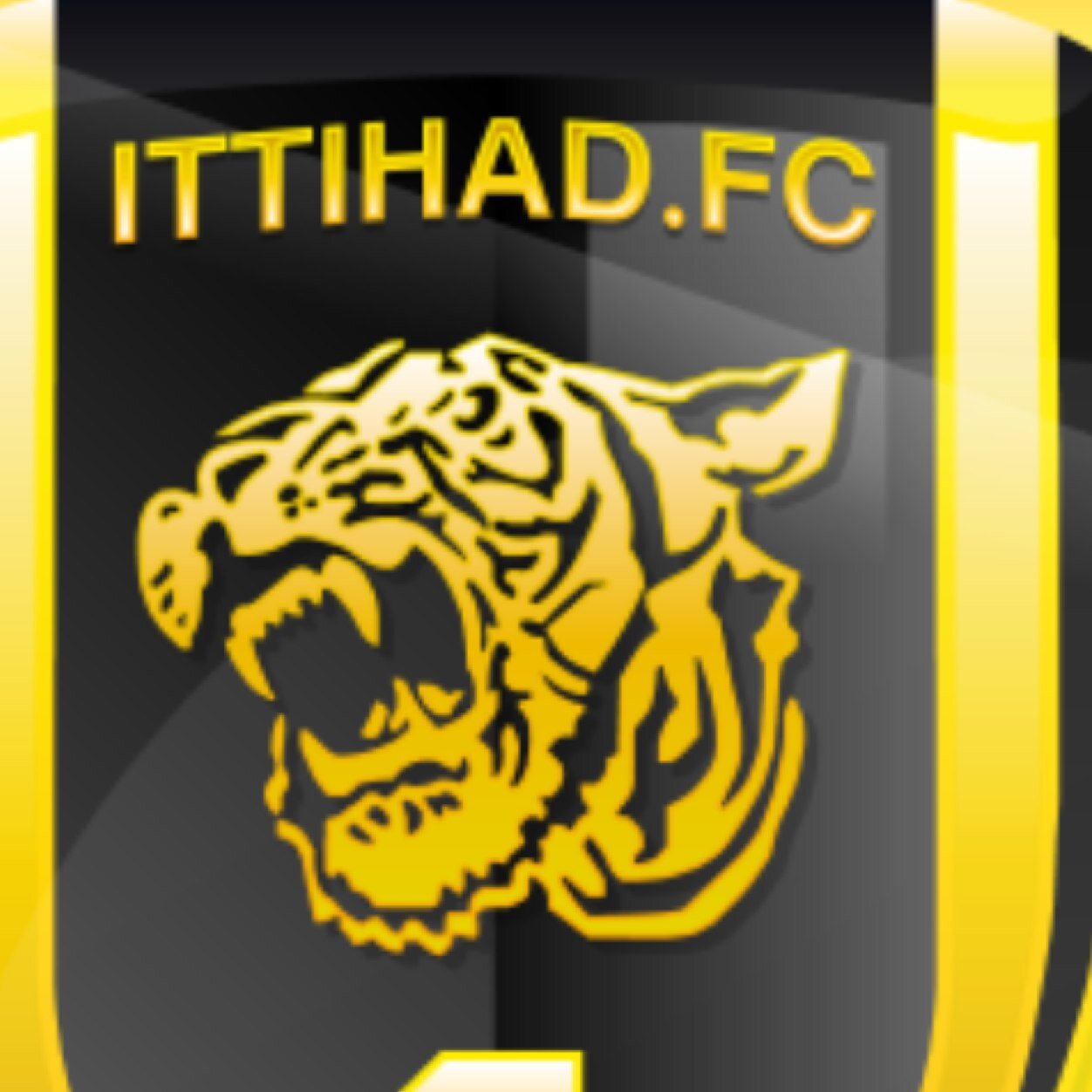 الاتحاد وطن لا يملكه الا شعبه ❤️