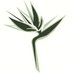 Funeral Flowers (@funeralflorist) Twitter profile photo Funeral Flowers (@funeralflorist) Twitter profile photo
