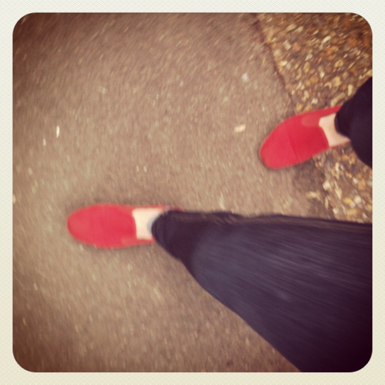 lowri81's profile picture. 