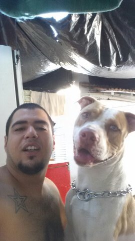VEM DAR VALOR AO QUE É BOM NESSA VIDA