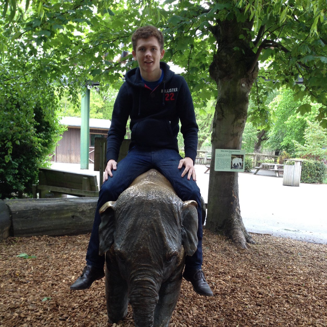 AdamGYoung9's profile picture. 