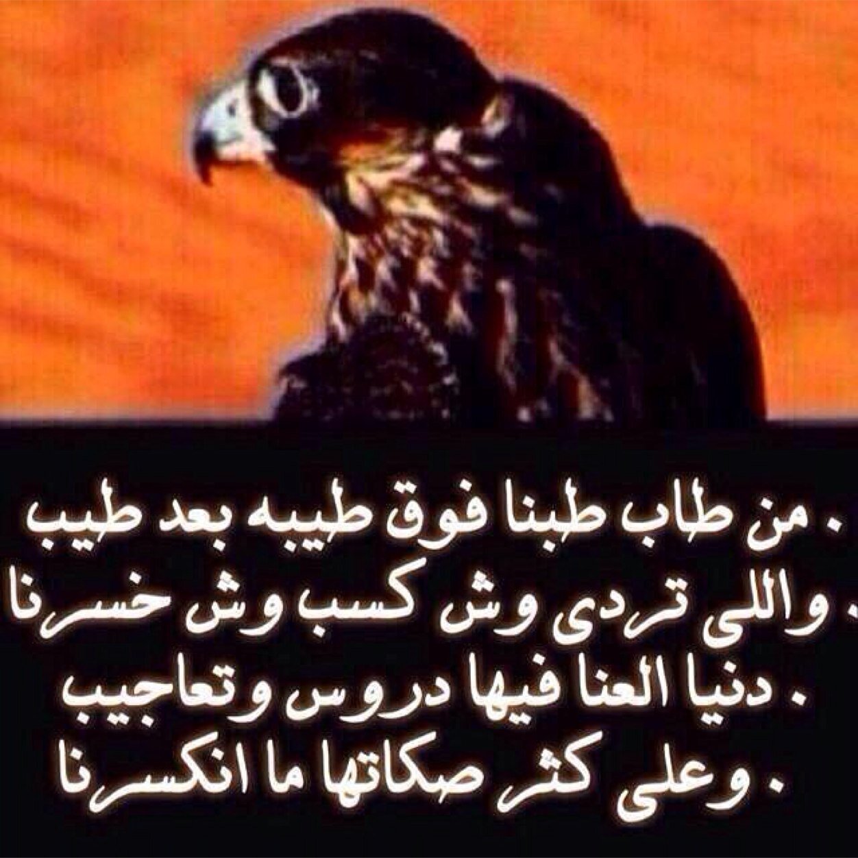 ديرتي حاايل .. جوهره الشممال ❤️.. شاركني اشاركك