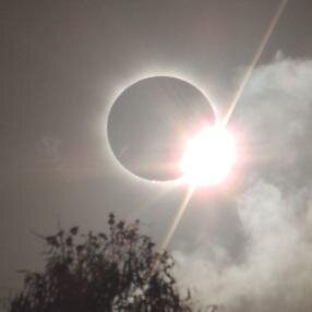 EclipseNq's profile picture. No offence but I'd probably get along better with your dog than with you.